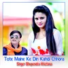 About Tote Maine Ke Din Kahdi Chhora Song